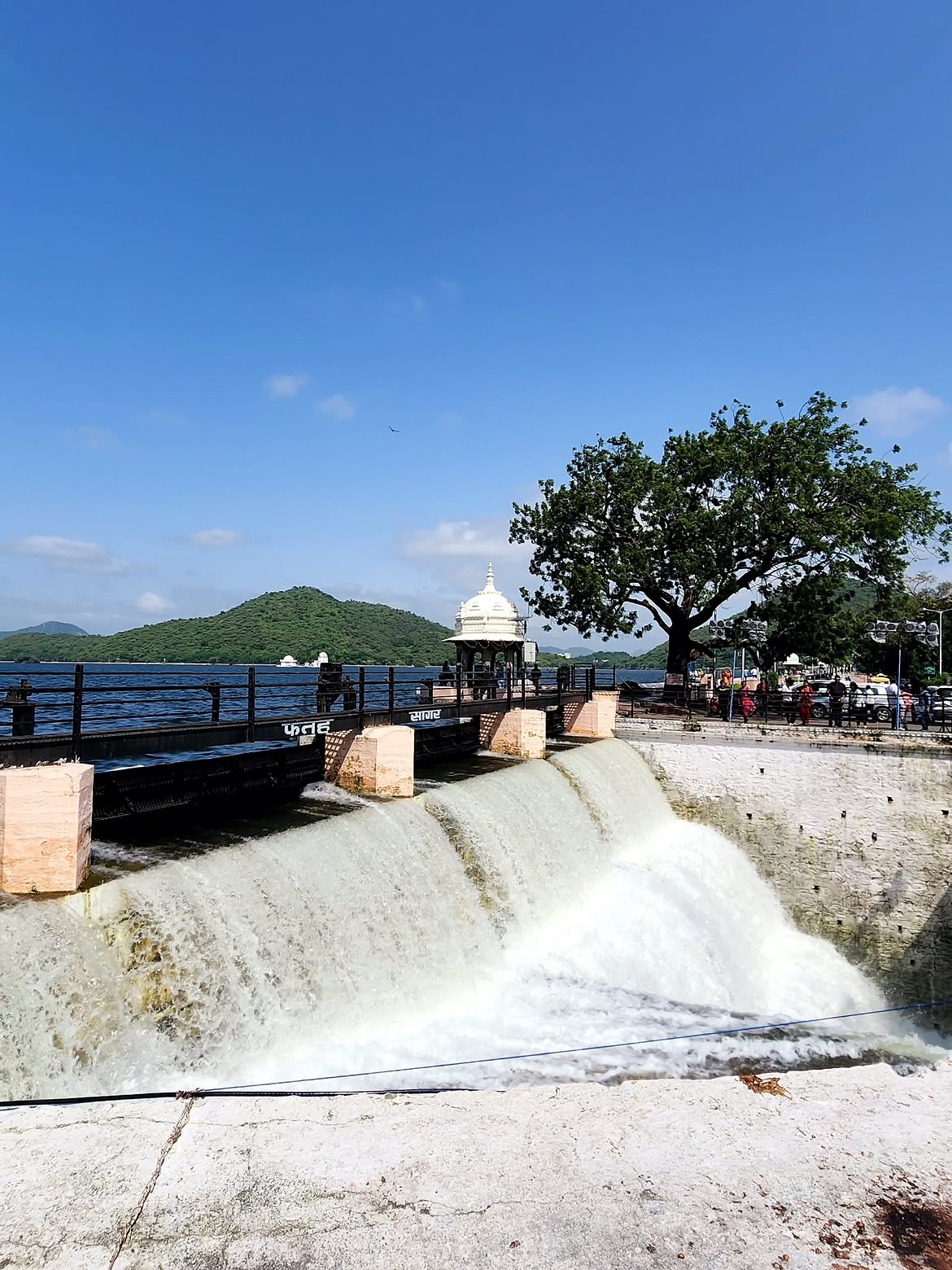 Udaipur diaries — every corner feels like a postcard! 💌Come to Udaipur, where every moment bec (4)